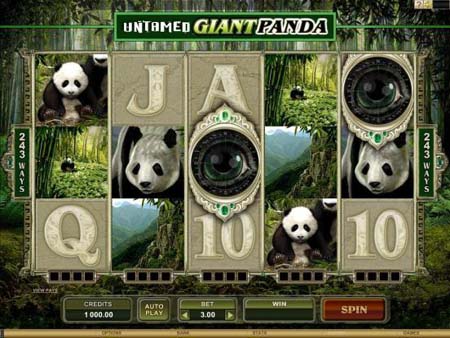 Untamed - Giant Panda Slot Game