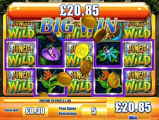 Jungle Wild Big Win slot game