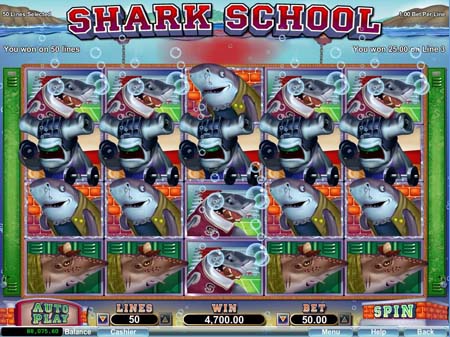 Shark School slot
